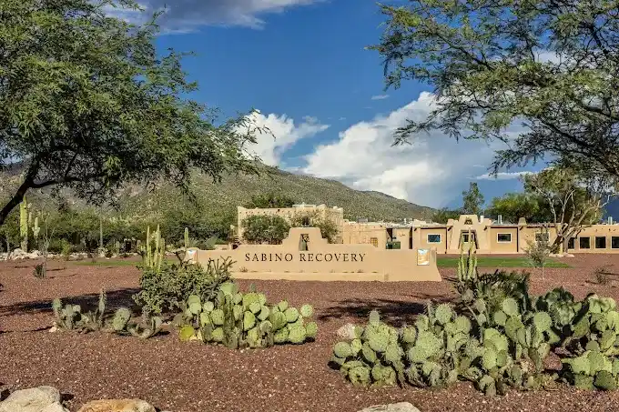 Sabino Recovery Featured Image